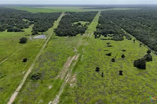 10772 State Hwy 111, Edna, TX 77957 - Photo 14
