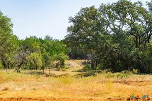 0000 Old Ferry Rd, Spicewood, TX 78669 - Photo 6
