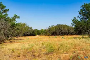0000 Old Ferry Rd, Spicewood, TX 78669 - Photo 16