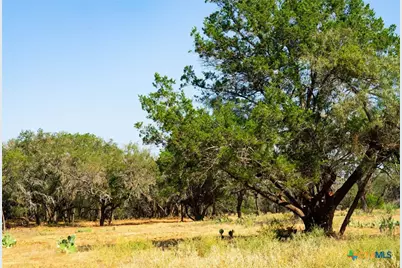 0000 Old Ferry Road, Spicewood, TX 78669 - Photo 4