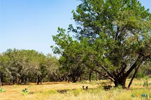 0000 Old Ferry Rd, Spicewood, TX 78669 - Photo 4