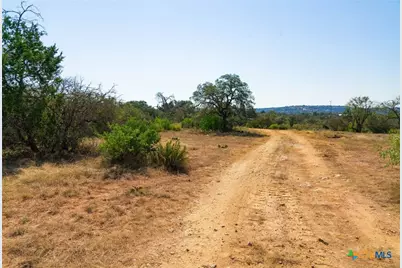 0000 Old Ferry Road, Spicewood, TX 78669 - Photo 12