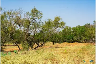 0000 Old Ferry Road, Spicewood, TX 78669 - Photo 14