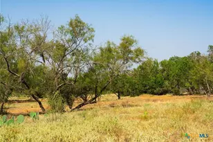 0000 Old Ferry Rd, Spicewood, TX 78669 - Photo 14