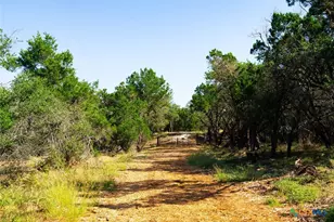 0000 Old Ferry Rd, Spicewood, TX 78669 - Photo 22
