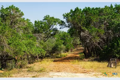 0000 Old Ferry Road, Spicewood, TX 78669 - Photo 4