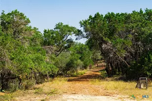 0000 Old Ferry Rd, Spicewood, TX 78669 - Photo 4