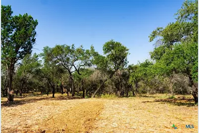 0000 Old Ferry Road, Spicewood, TX 78669 - Photo 20