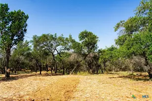 0000 Old Ferry Rd, Spicewood, TX 78669 - Photo 20