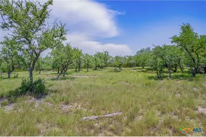 1552 Lake Ridge Boulevard, Canyon Lake, TX 78133 - Photo 6
