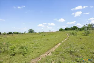 Lot 4 Hwy 36, Rogers, TX 76569 - Photo 8