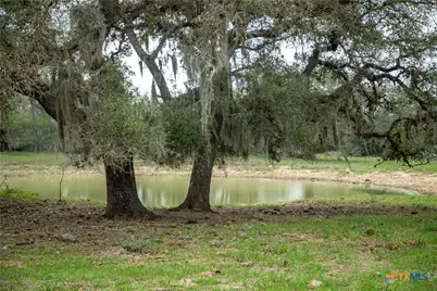 0 Golly Road, Cuero, TX 77954 - Photo 24