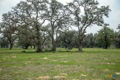 0 Golly Road, Cuero, TX 77954 - Photo 16