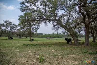 0 Golly Road, Cuero, TX 77954 - Photo 38