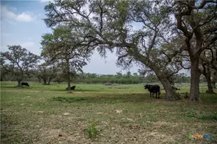 0 Golly Rd, Cuero, TX 77954 - Photo 38