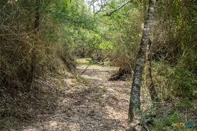 0 Golly Road, Cuero, TX 77954 - Photo 18