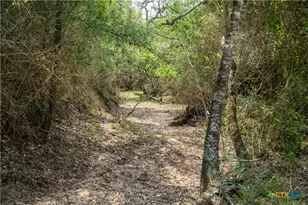 0 Golly Rd, Cuero, TX 77954 - Photo 18