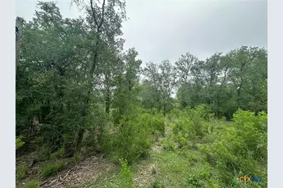 341 Mission River Oaks Road, Woodsboro, TX 78393 - Photo 30