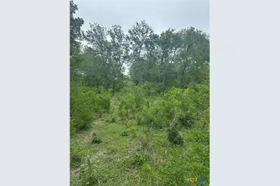 341 Mission River Oaks Road, Woodsboro, TX 78393 - Photo 28