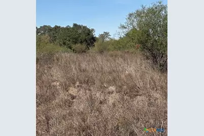 00 Quail Run Trail, Fannin, TX 77960 - Photo 10