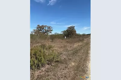 00 Quail Run Trail, Fannin, TX 77960 - Photo 6