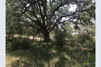 00 Quail Run Trail, Fannin, TX 77960 - Photo 4