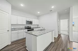 231 Enforcer Loop, Jarrell, TX 76537 - Photo 14