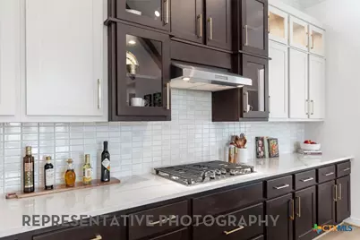 9116 Golden Lion Drive, Austin, TX 78744 - Photo 4