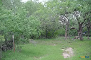 185 Campobella Ln, Kingsbury, TX 78638 - Photo 1