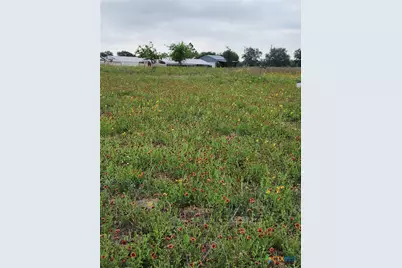 3921 Cr 334, Stockdale, TX 78160 - Photo 4