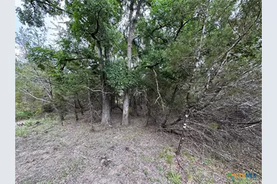 Unassigned Private Road 16029, Jonesboro, TX 76538 - Photo 10