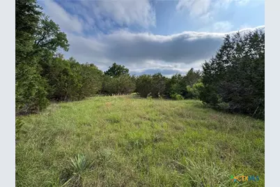 Unassigned Private Road 16029, Jonesboro, TX 76538 - Photo 8