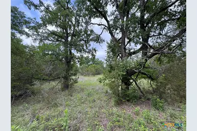 Unassigned Private Road 16029, Jonesboro, TX 76538 - Photo 12