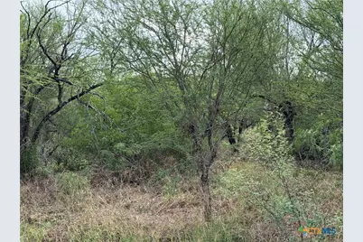 Tract 9 Love Road, Victoria, TX 77904 - Photo 6