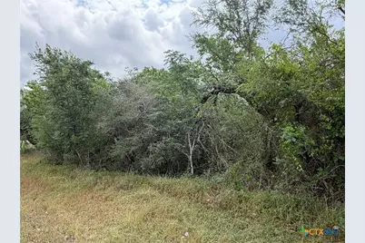 Tract 9 Love Road, Victoria, TX 77904 - Photo 12