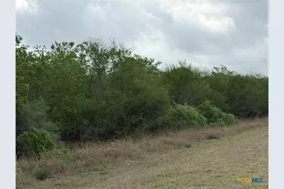 Tract 9 Love Road, Victoria, TX 77904 - Photo 2