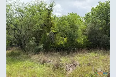 Tract 9 Love Road, Victoria, TX 77904 - Photo 8