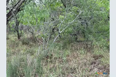 Tract 9 Love Road, Victoria, TX 77904 - Photo 4