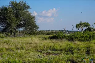 1077 Adobe Creek Rd, Fredericksburg, TX 78624 - Photo 8