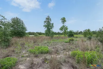 Tbd Lot 20C County Rd, Bastrop, TX 78602 - Photo 4