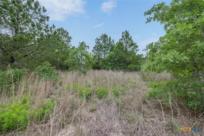 Tbd Lot 20C County Rd, Bastrop, TX 78602 - Photo 2