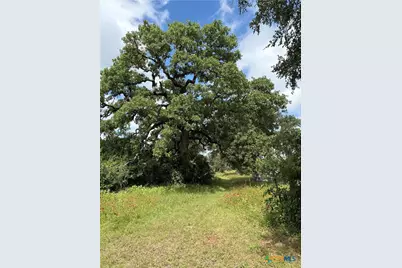 113 Deer Springs Dr., Burnet, TX 78611 - Photo 20
