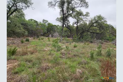 286 Flanders, Fischer, TX 78623 - Photo 2