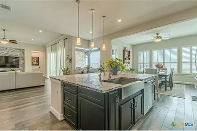 309 Hopping Peach Street, San Marcos, TX 78666 - Photo 20