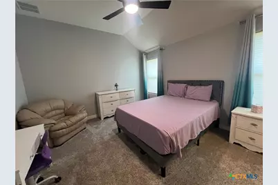 3213 Roan Street, New Braunfels, TX 78130 - Photo 30