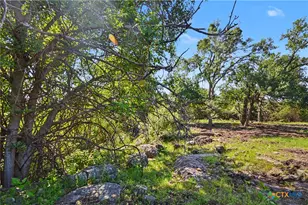 179 E County Road 318, Goldthwaite, TX 76844 - Photo 6