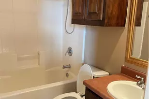 234 Star Grass, Spring Branch, TX 78070 - Photo 24