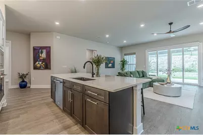 433 Skipping Cedar Street, San Marcos, TX 78666 - Photo 8