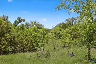 179 E County Road 318, Goldthwaite, TX 76844 - Photo 2