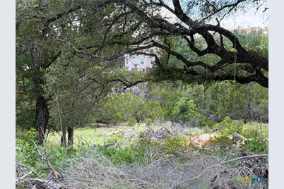 273 Scenic Drive, Canyon Lake, TX 78133 - Photo 16